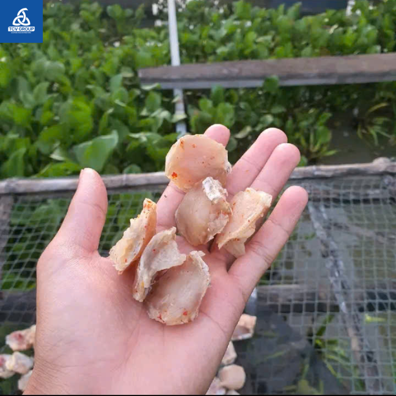 Cận cảnh khô gò má cá lóc trên tay người cầm