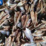 Rổ đầy khô cá lóc miếng đã chế biến xong