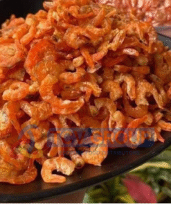 Tom kho size lon dac san