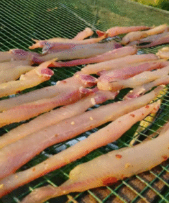 Cá lóc phi lê được phơi trên giàn lưới