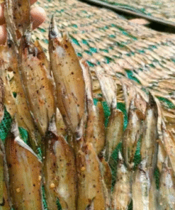 Hàng loạt cá chạch xẻ đồng được phơi trên lưới dưới trời nắng