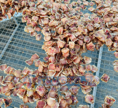 khô gò má cá lóc phơi khô đều tay trên vỉ lưới
