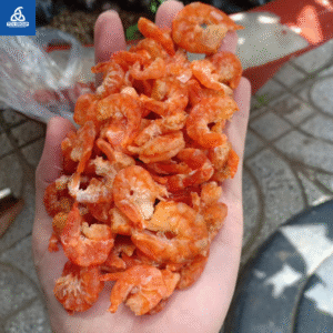 tôm khô loại size lớn