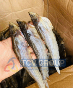 Khô cá trèn nguyên con chưa chế biến