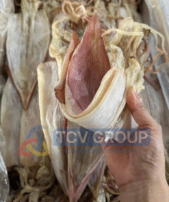 Tay cầm mực khô 28-30 con dày mình