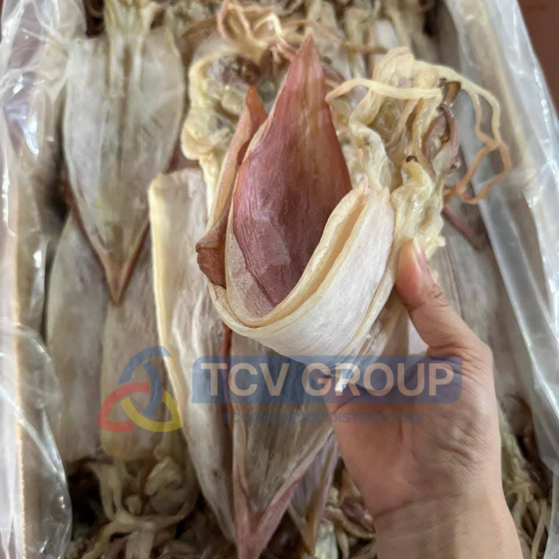 Tay cầm mực khô 28-30 con dày mình