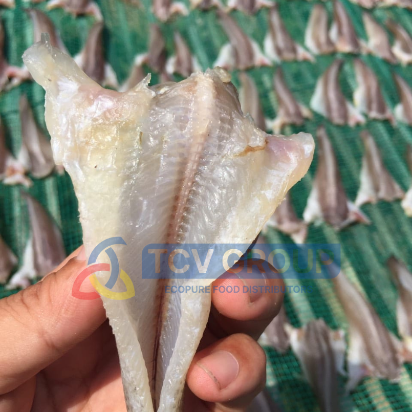 Cá lóc phơi khô cận cảnh