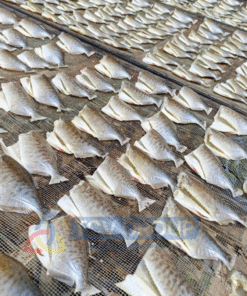 khô cá chim đang phơi trên giàn sạch