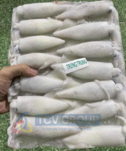 Mực trứng đông lạnh block TCV Group