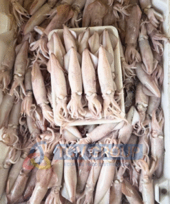 Mực hấp thuyền chọn lọc