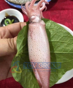 Mực hấp thuyền tươi chấm sốt