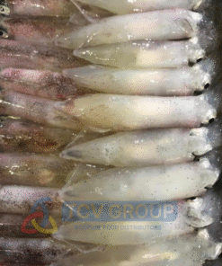 Mực trứng size trung đông lạnh cao cấp