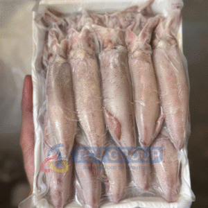 Mực hấp thuyền tươi đóng gói