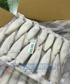 Mực trứng size trung bán sỉ TCV Group