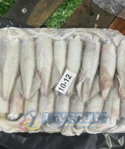 Mực ống câu đông lạnh size 10-12