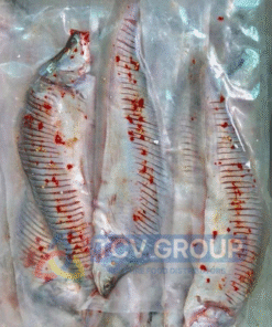 ặp Cá Thác Lác tươi ngon, tẩm ướp gia vị ớt nhẹ, đóng gói hút chân không chuyên nghiệp. Sản phẩm chất lượng từ TCV Group, tiện lợi cho bữa ăn.