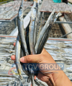 Cá lìm kìm đang phơi 1 nắng trên giàn TCV Group