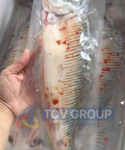 Cá thác lác tươi đã tẩm ướp sẵn sàng chế biến TCV Group