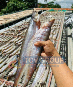 Cá khô phơi trên vỉ kim loại
