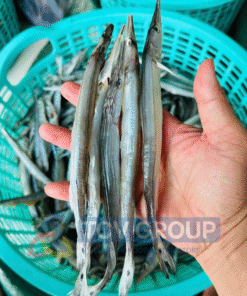 Cá lìm kìm tươi trong tay chuẩn bị làm khô 1 nắng